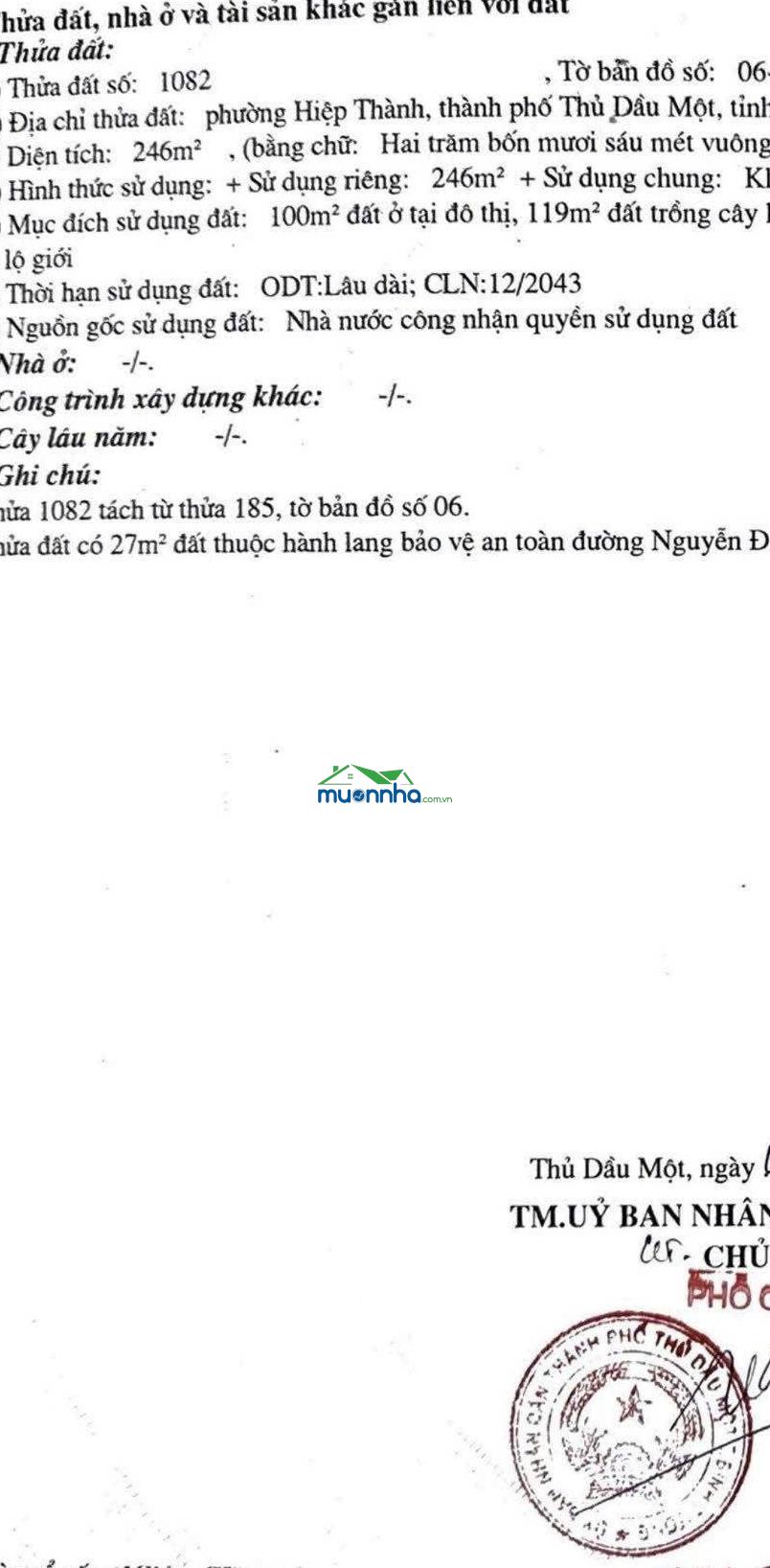 Mặt tiền nguyễn đức thuận 6x41m thổ cư 100m vị trí đẹp nhất đối diện trường mầm non giá ngộp 7,2 tỷ - 4