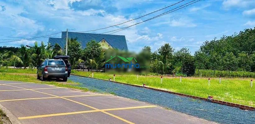 Lò rèn chủ ngộp chỉ với 485 triệu sở hữu ngay lô đất có tên đường lò rèn - minh thạnh - hồ chí minh