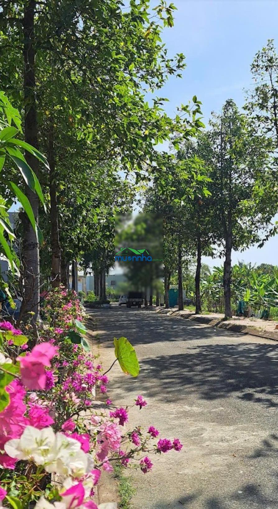 Nhà siêu đẹp thoáng mát cho thu nhập cao đường bưng ông thoàn.