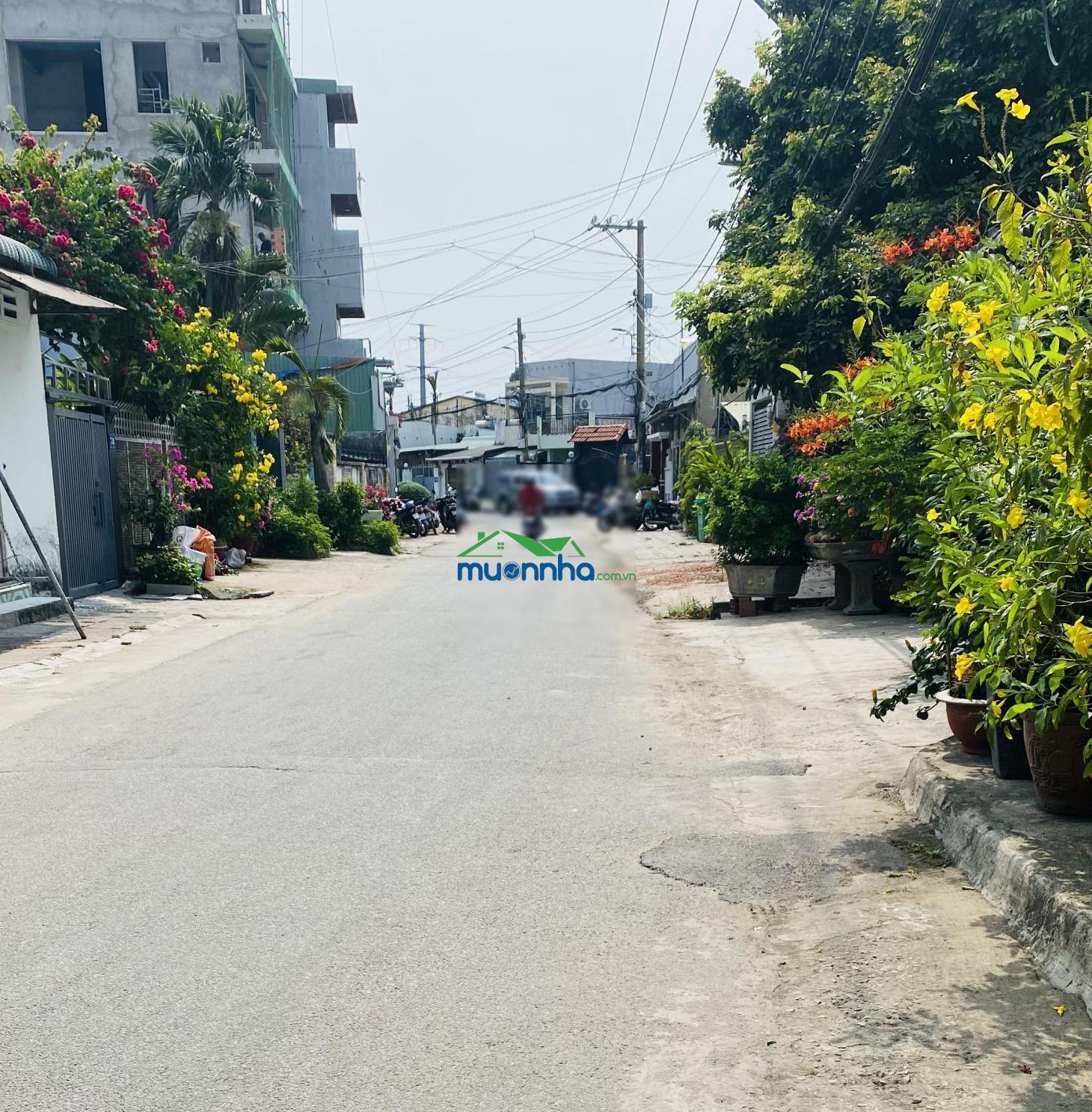 Nhà gần xa lộ hà nội - đường trãi nhựa 8 m - ngang 4.5 m- 6 tỷ2( tl) - Ảnh 3