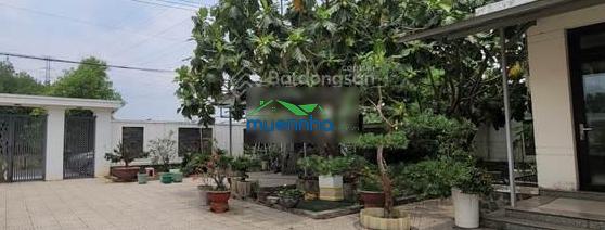 Bán hoặc cho thuê nhà vườn xã nhuận đức, củ chi. - 3