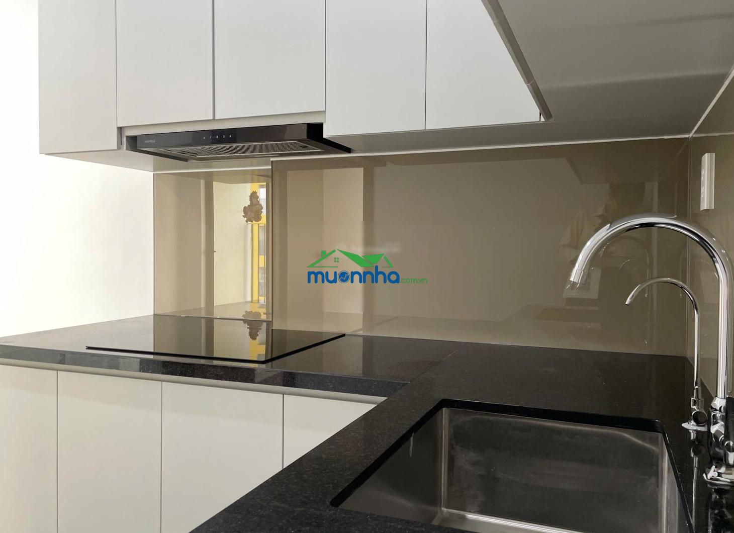 Cho thuê chung cư 2pn 2wc 55m2 (new 100%) view đẹp ngay đường thống nhất - 4