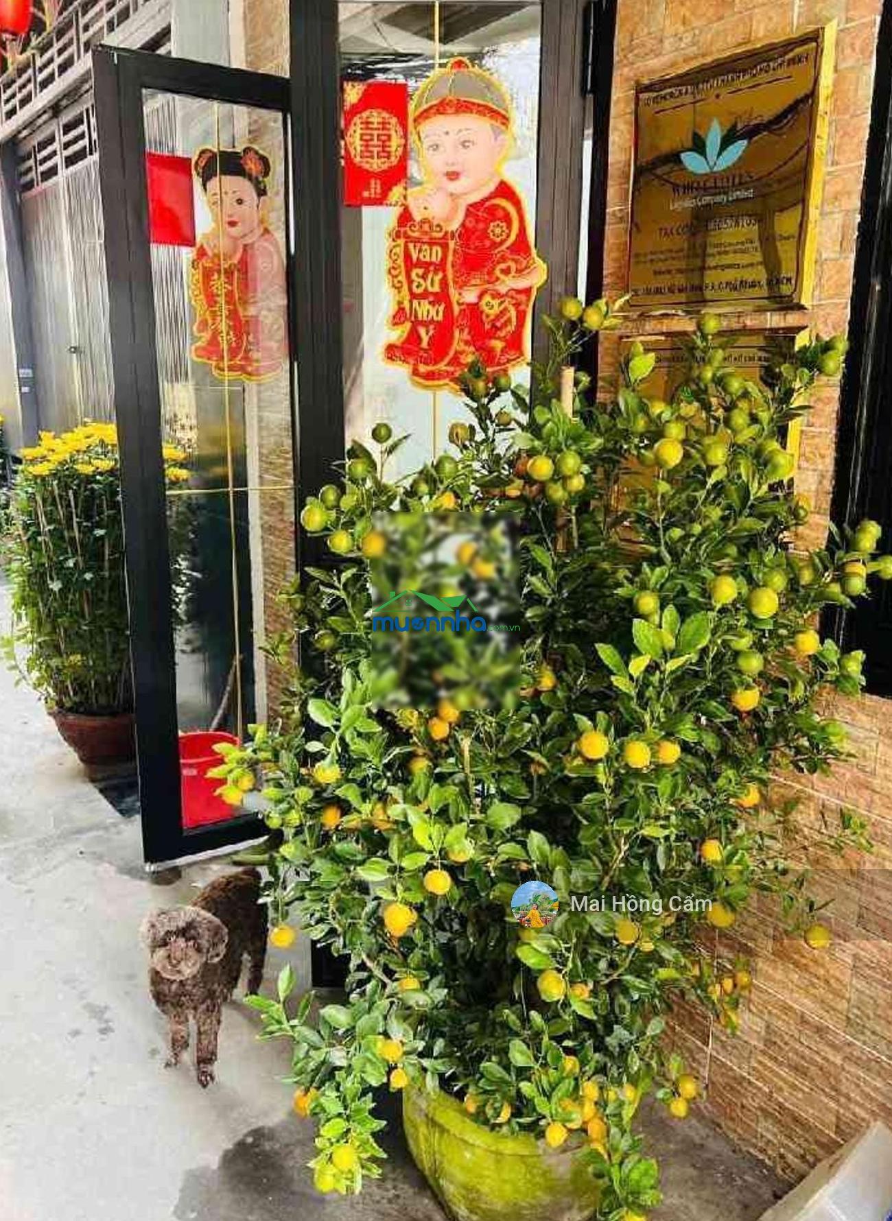 Bán nhà riêng tại hồ văn huê, 6,7 tỷ, 36,7 m2, 2pn, 2wc, 2 tầng - 4