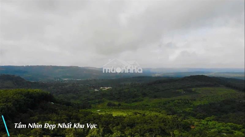 1,1ha đất view đồi 3 mặt thoáng trục gần trung tâm kiến đức
