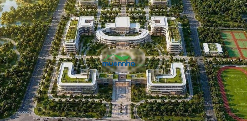 Cập nhật mã căn vị trí trục đường 19m. vinhomes saigon park