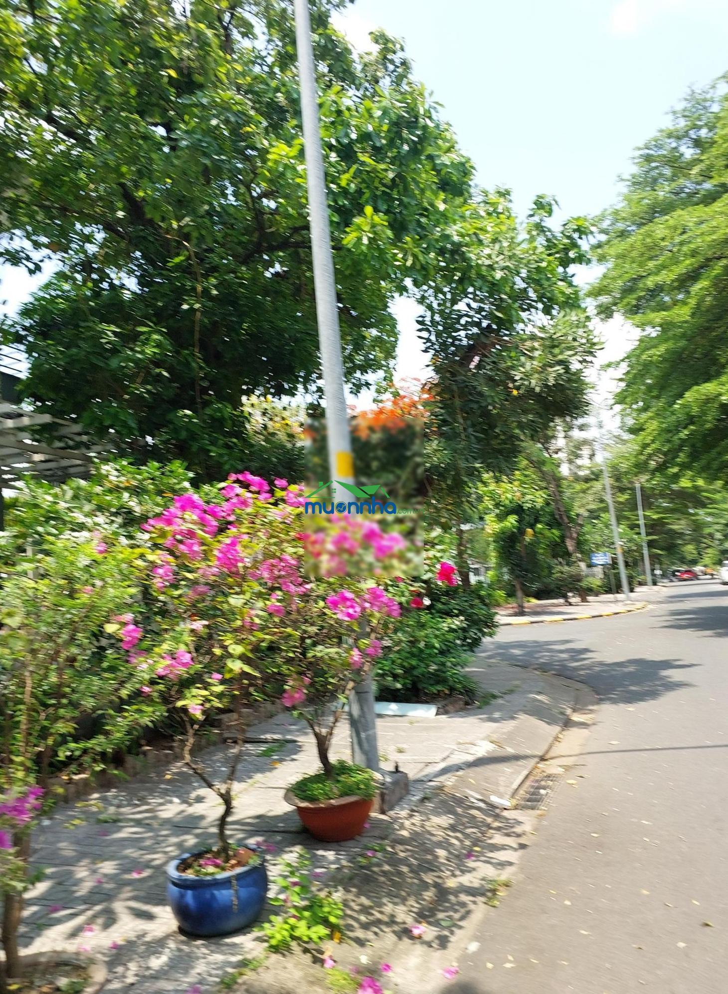 Giảm mạnh gấp bán biệt thự kdc gia hòa, đỗ xuân hợp, p. phước long (b) diện tích 252m, có thang máy