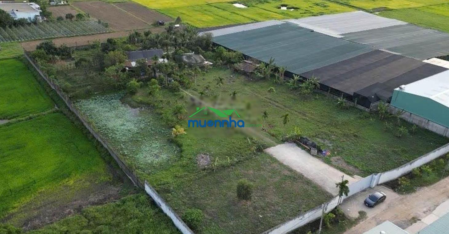 Nhà ở khu nghỉ dưỡng cho giới siêu giàu - xuân thới sơn - hóc môn, 6300m2