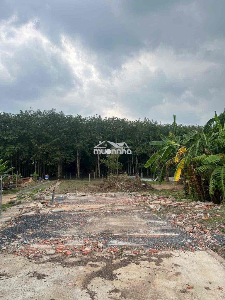 Cần bán 1000m2 ngộp ngân hàng - 2