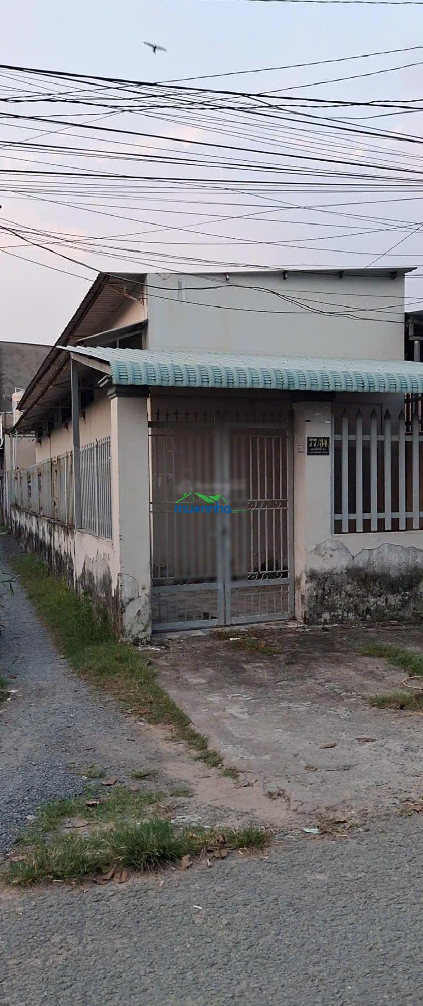 Bán gấp dãy trọ tại bến than, 3 tỷ, 125m2, pháp lý đầy đủ - 2