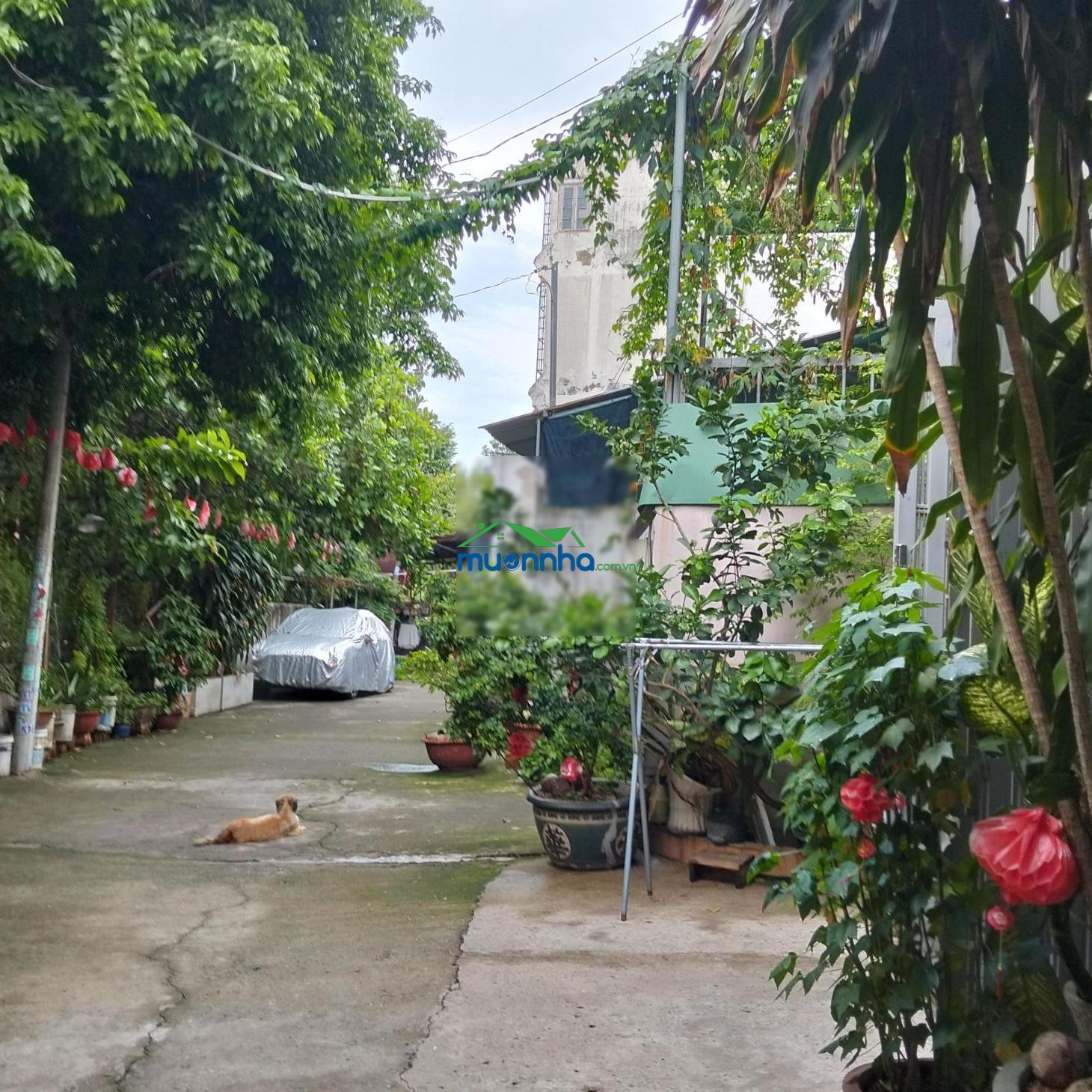 Bán nhà phố dt khủng 92m² đường man thiện tăng nhơn phú a quận 9. đường ôtô thông. giá 5.5 tỷ tl - 2