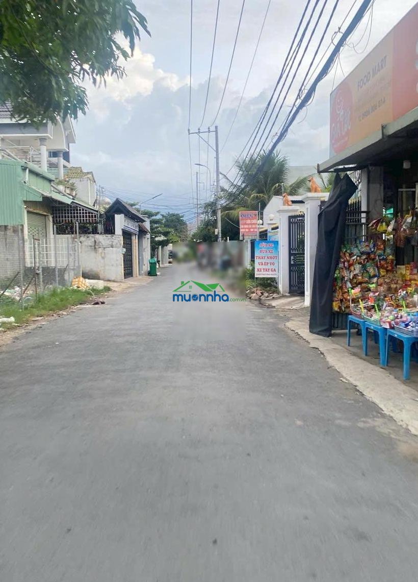 Dãy trọ 290m2 full thổ, mt đường nhựa xã tân kiên bình chánh - 4