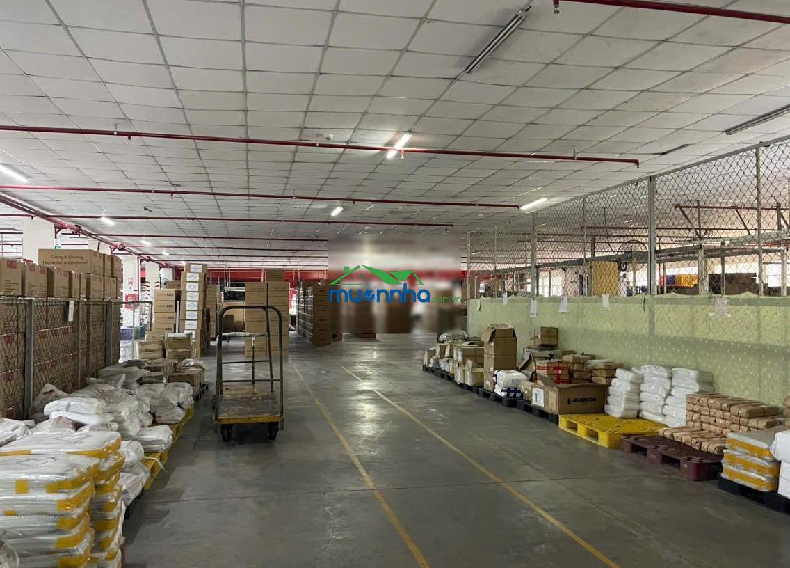 Cho thuê kho xưởng 2000m2 kcn sóng thần dĩ an pccc tự động giá 200 triệu/tháng - 3