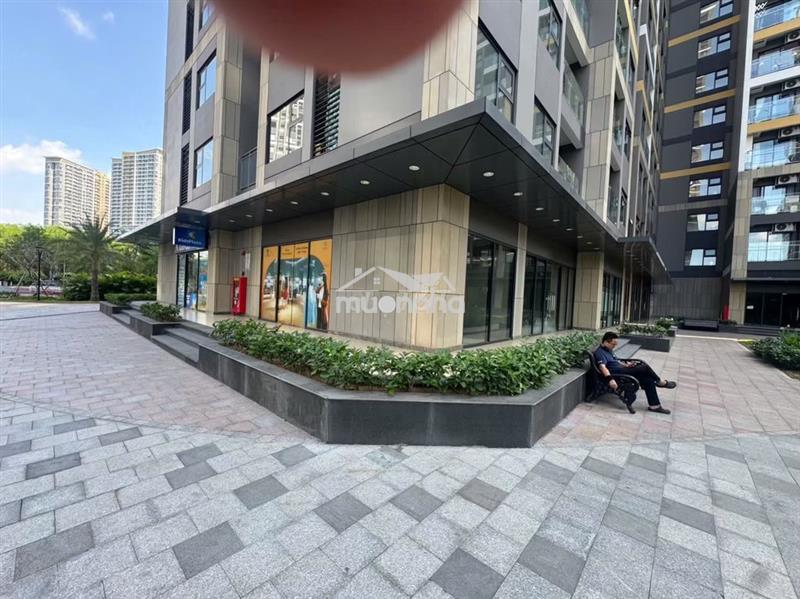 Chính chủ cho thuê shophouse căn góc toà bs7