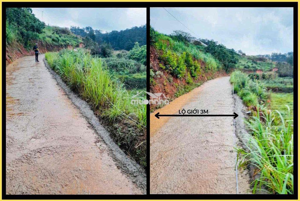 Bán đất đà lạt, xã xuân thọ sổ riêng diện tích 248m2 (thực tế 310m2) - 2