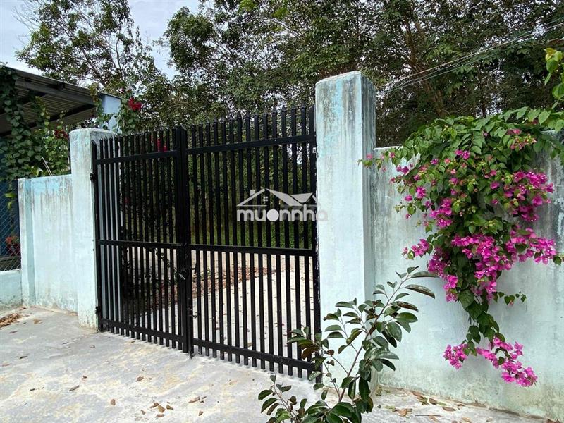 Bán nhà ở và nhà yến 800 tổ ở minh tân dầu tiếng