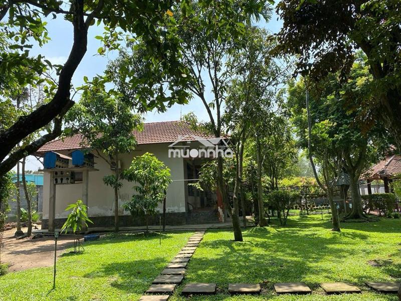 Biệt thự vườn dt 2.750m2 (45x60) gần bệnh viện xuyên á, tân thông hội