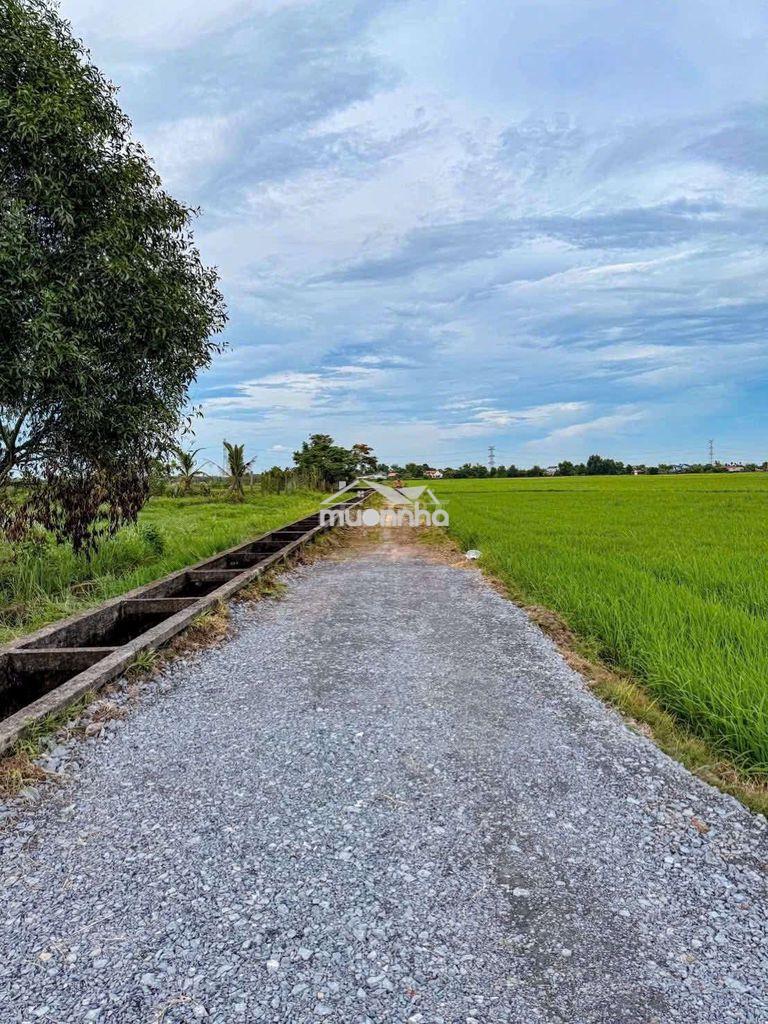 Đất củ chi xã trung lập thượng , thái mỹ mới - 2