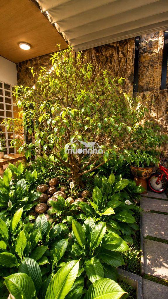 ✳️ Biệt thự sân vườn 220m² mặt tiền 10m gần phạm hùng - 2