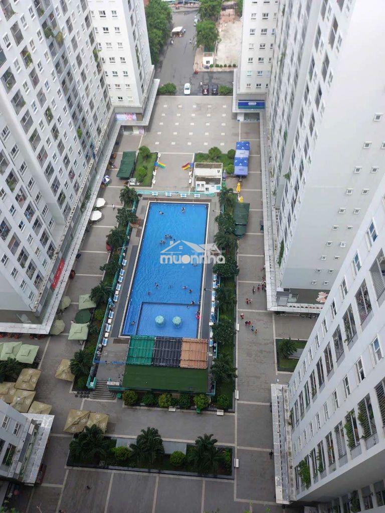Topaz home 69m2 2.3 tỷ. prosper 65m2 3 tỷ 1
