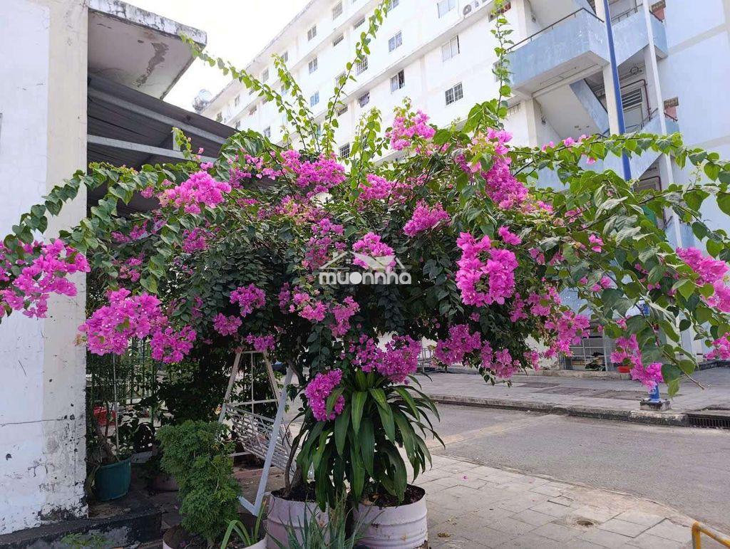 Nhà thành phố hồ chí minh 100% tiền:  200 triệu. có mới đăng - 4