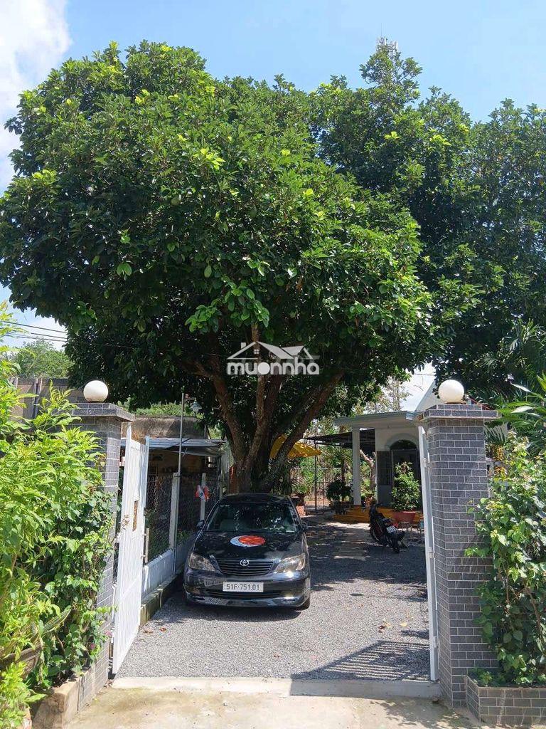 Bán nhà vườn nghỉ dưỡng 445.6m² – nhà đẹp, 100m² thổ cư