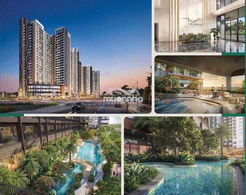 The emerald garden view - giấc mơ an cư chỉ 9tr/th