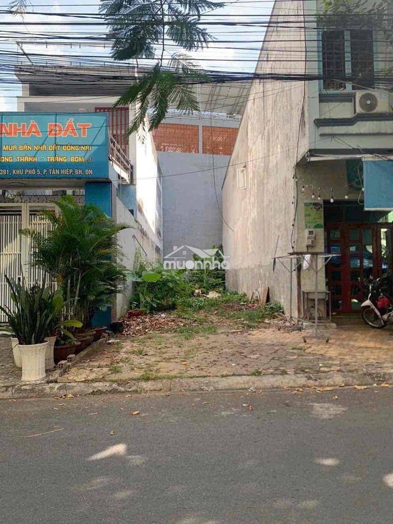 Đất thổ cư khu đinh thuận ngay sau trường đinh tiên hoàng - 3