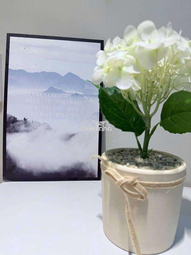 Cho thuê căn hộ 2pn - 2 wc - 3