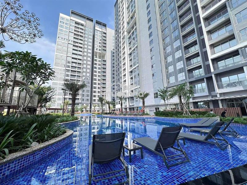 Em chuyên quản lí cho thuê căn hộ celesta rise - 1pn 2pn 3pn