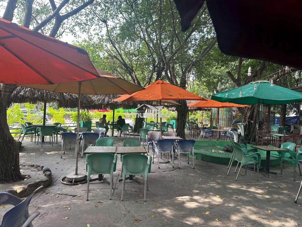 Sang quán cafe sân vườn hoa lá - 3