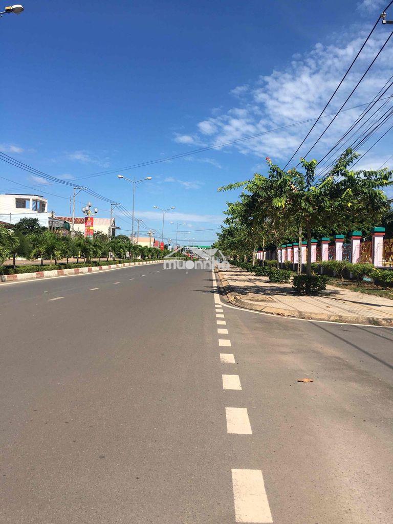 Bán đất xuân đông cẩm mỹ - 3
