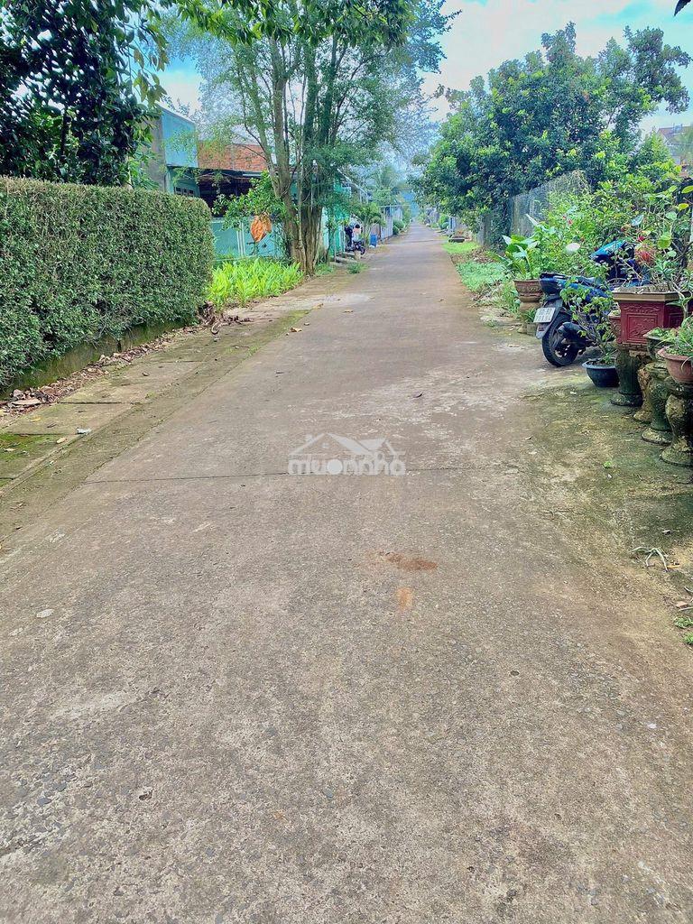 ‼️ 6tr/m² – đón sóng tp trung ương, phường dầu giây ‼️ - 3