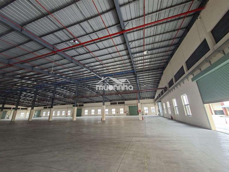 Cho thuê kho kcn vsip 2 bình dương
