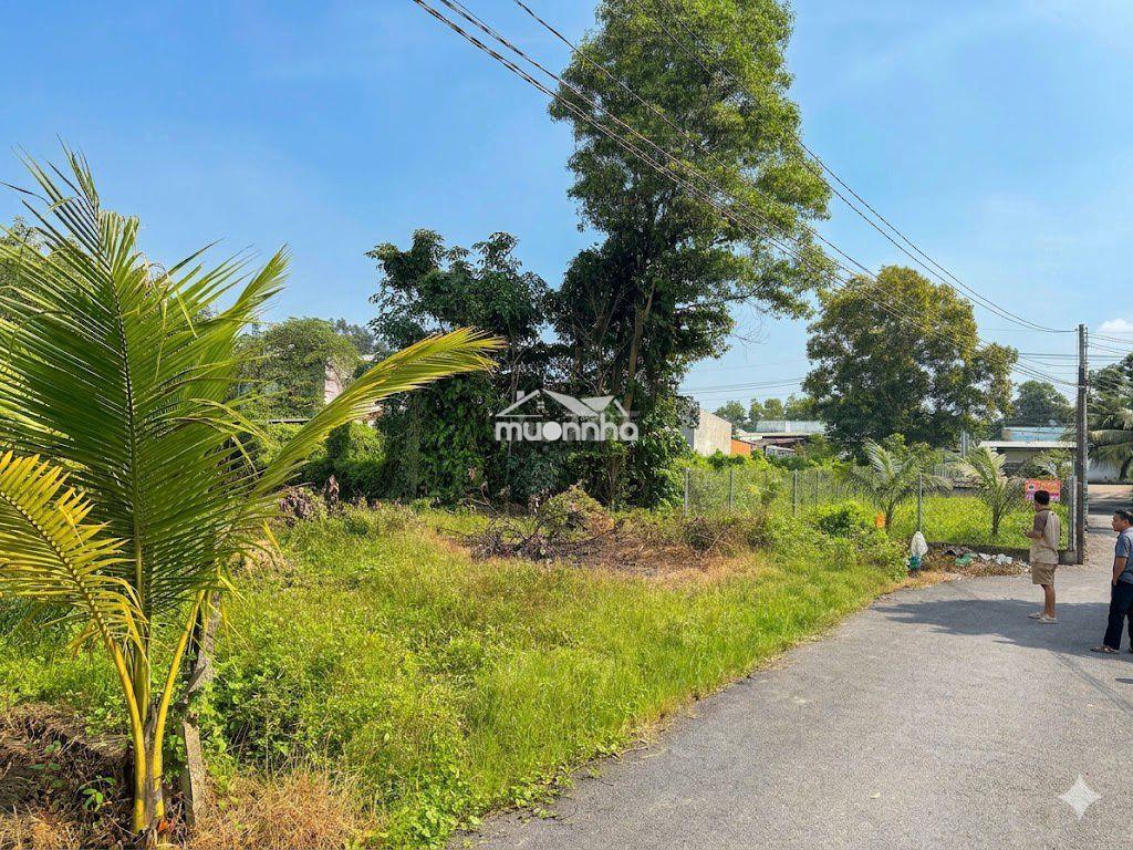 Bán 685m2 đất ngay kcn long thành xã tam an, 4.5tỷ - 2