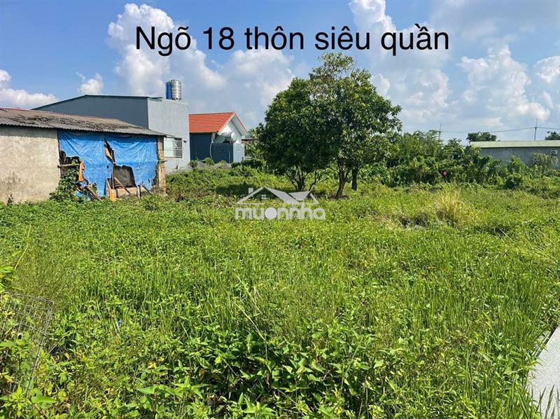 Bán đất chính chủ tại ngõ 18 thôn siêu quần xã tả thanh oai, thanh trì