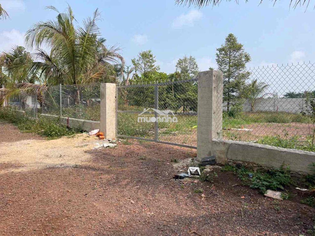 Bán 500m2 có thổ cư giá ngộp long khánh - 3
