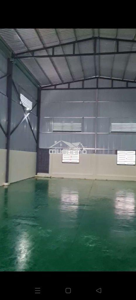 Kho 300m ở thới hòa bến cát - 2