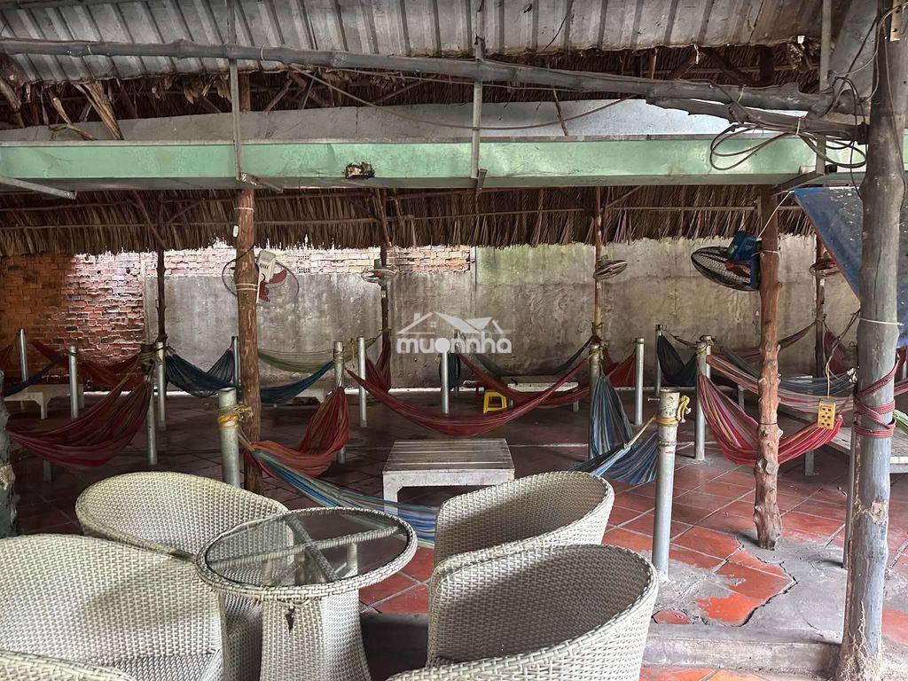 Sang quán cafe sân vườn hoa lá - 4