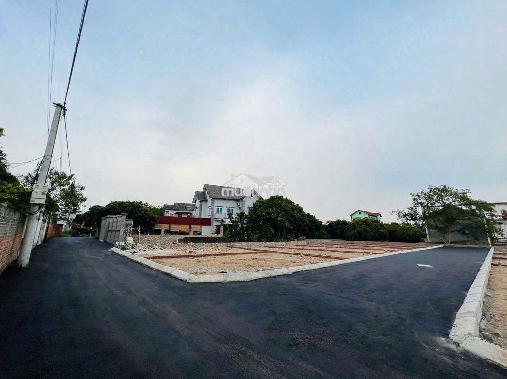 Cần bán gấp mảnh đất siêu full thổ cư  - 3