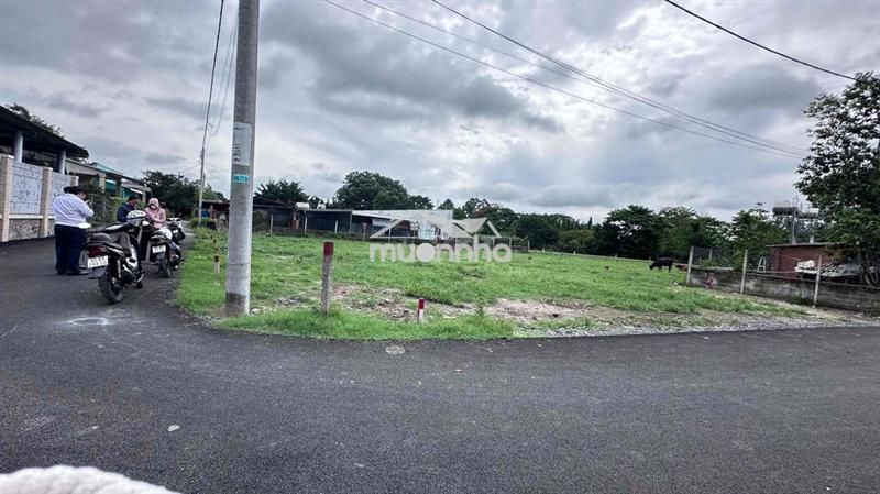 145m2 thái mỹ đất đẹp ngang 7m, mặt tiền đường trung lập, giá 1,2tỷ