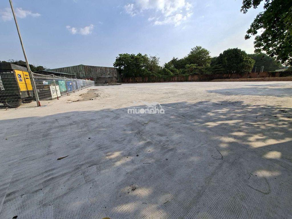 Cho thuê đất bãi xe công ở dĩ an - 2