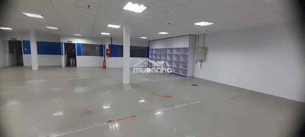 Nhà xưởng q12 tân thới nhất cho thuê - 2