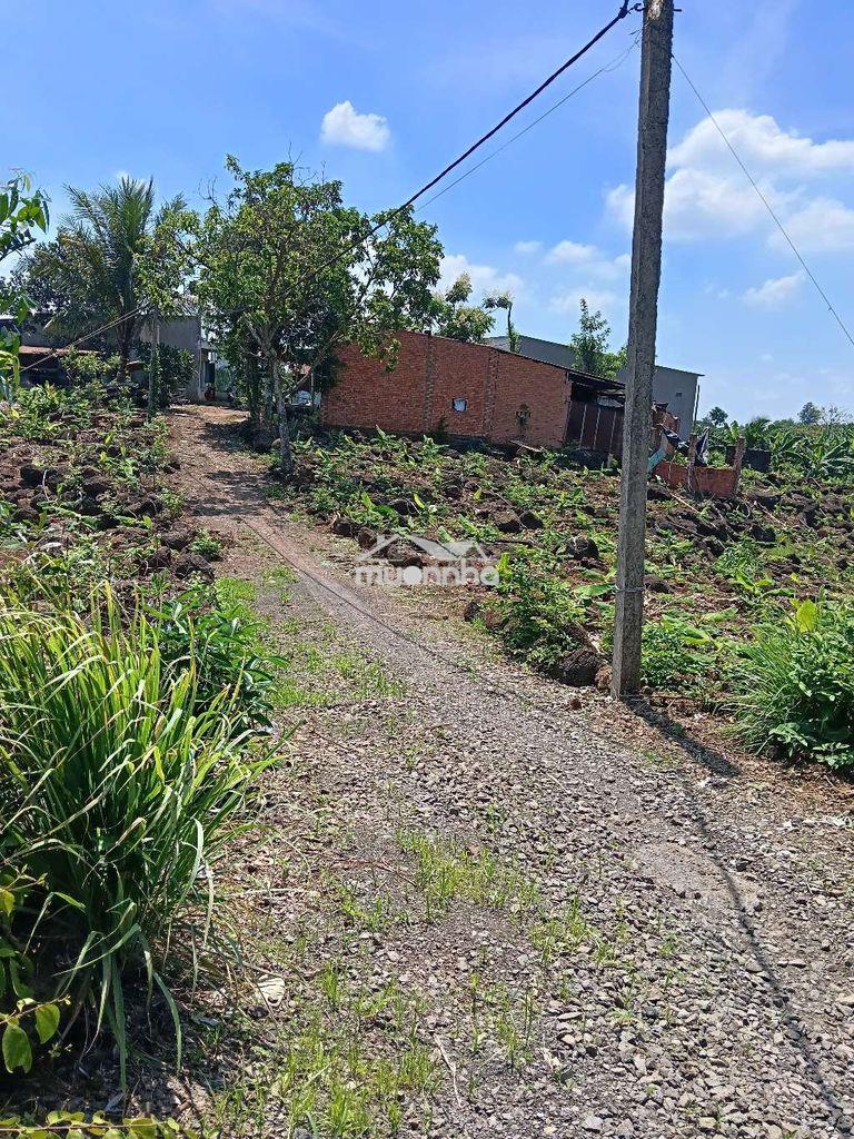 Đất sào sổ riêng