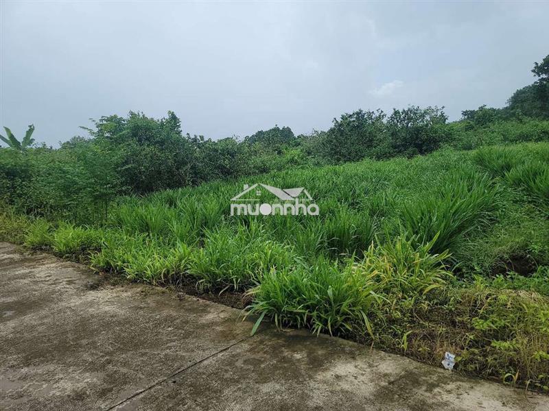 Chính chủ bán 10x30 tại phường tân phú, đn