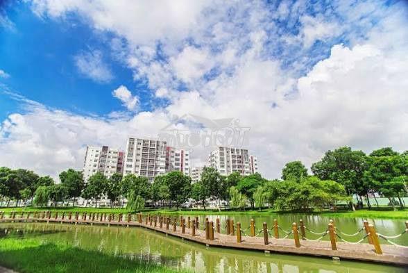 Bán căn hộ 1pn 1wc dt 50m2 khu topaz celadon city tân phú