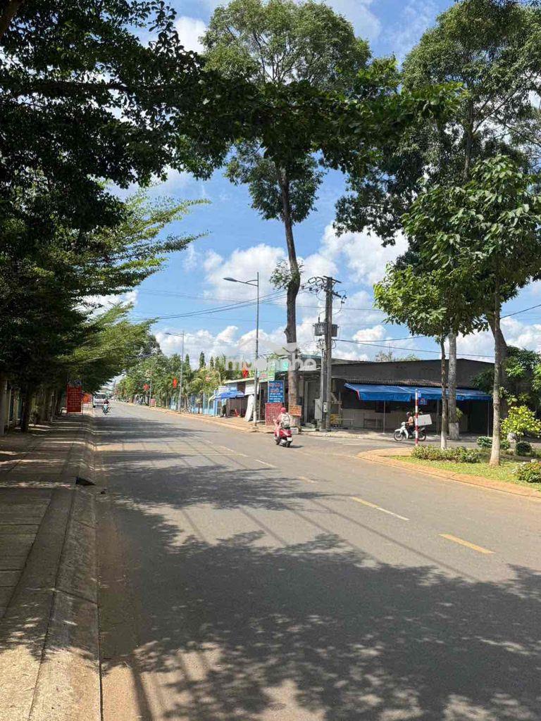 Đat rẽ long khánh đồng nai - 2