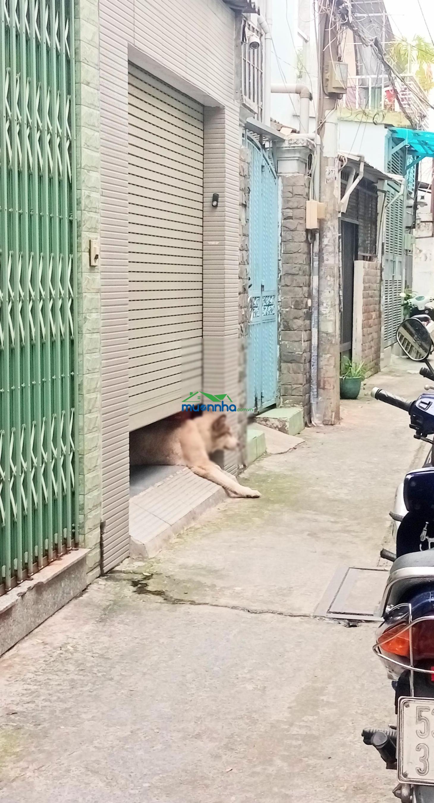 Gần công viên làng hoa, nhà 4 tầng 4pn, hẻm 1 trục thẳng tắp, chỉ 5tỷ4 tl - 4