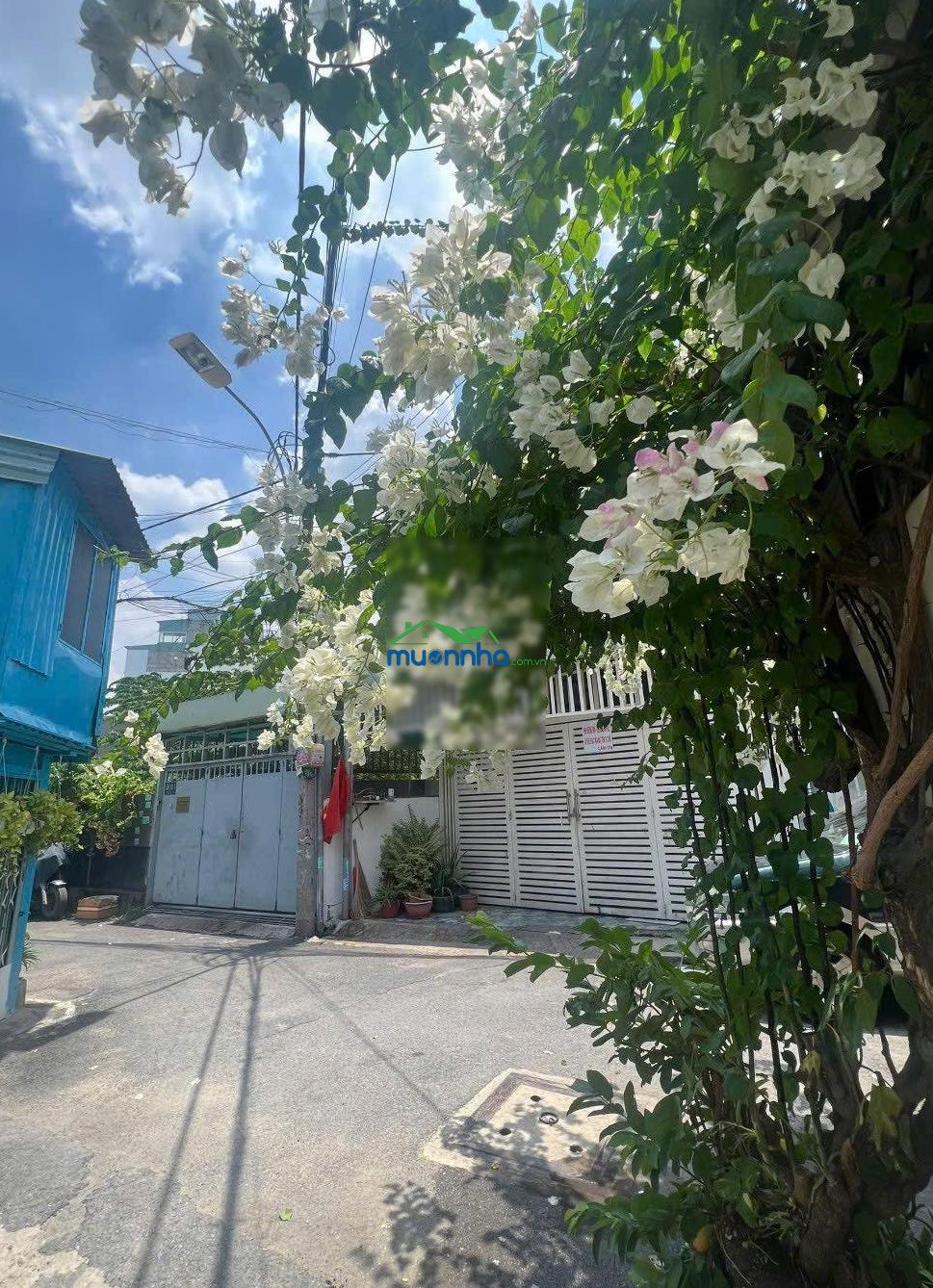 Hiếm có nhà đường oto ngay trung tâm trường thọ sát đặng văn bi - nhà c4 mới đang cho thuê 12tr - Ảnh 4