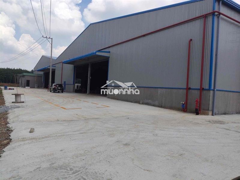 Cho thuê xương phước hoà phú giáo bình dương