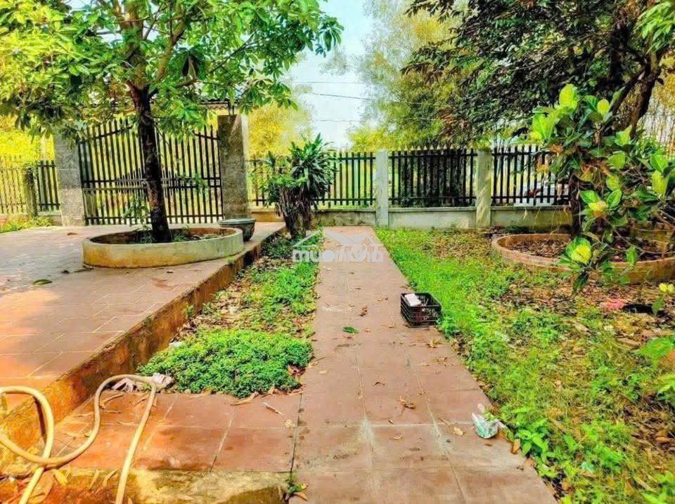 Bán căn nhà vườn nhỏ hơn 500m2 , giá 680triệu ,sổ sẵn. - 4